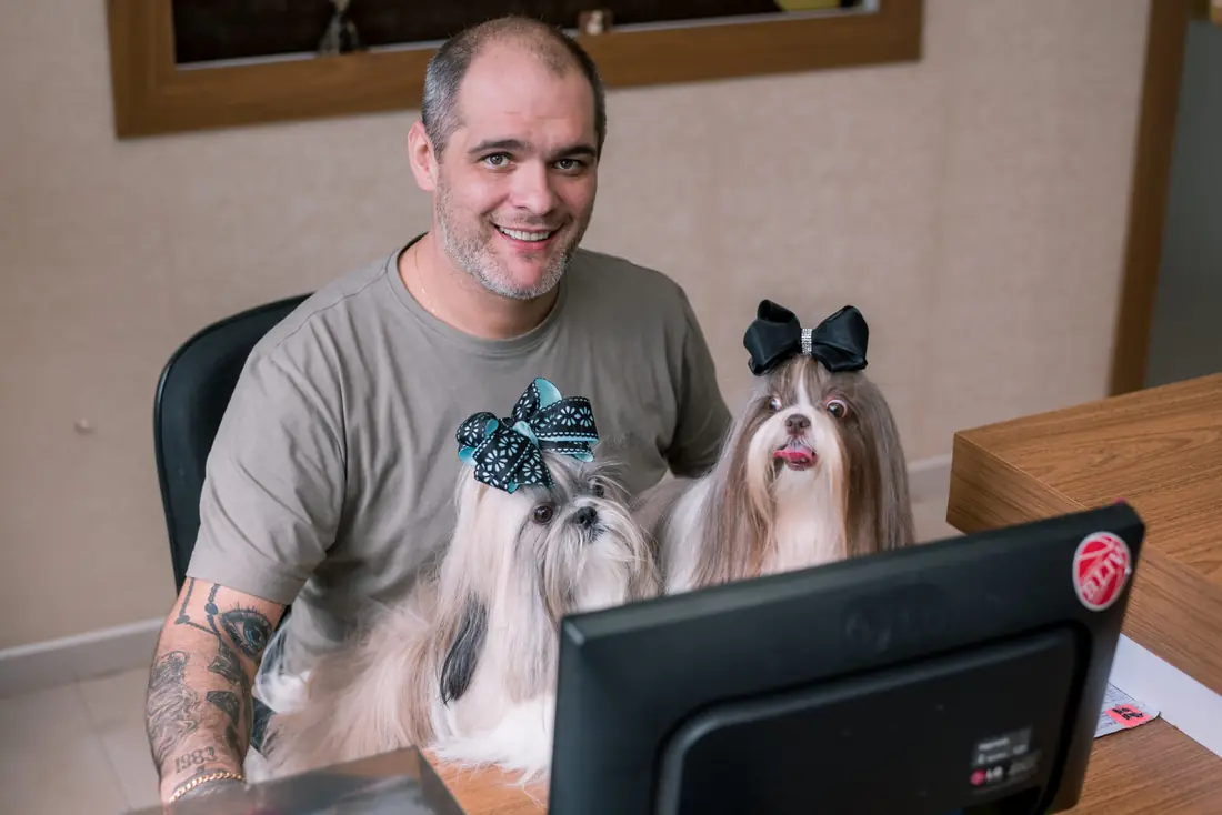 Dois shih tzus com laços no escritório da Grand Animal Place