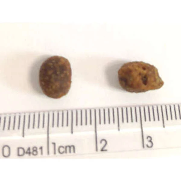 Ração_Premier_Pet_Ambientes_Internos_Cães_Adultos_Frango_e_Salmão_